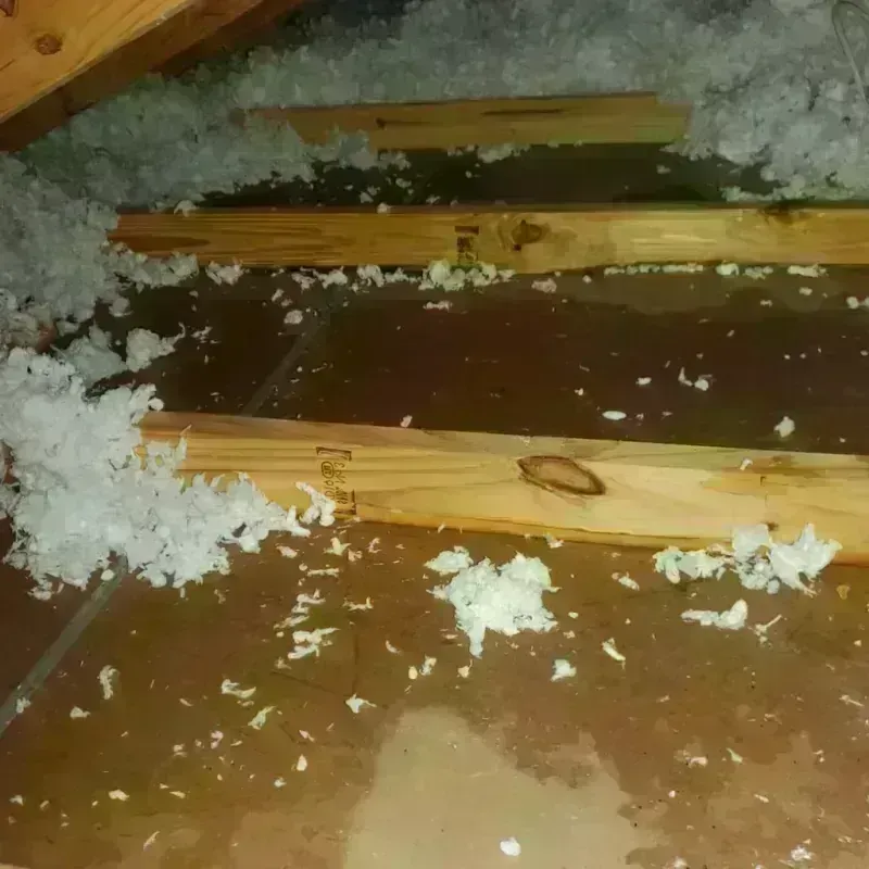 Attic Water Damage in Longview, WA