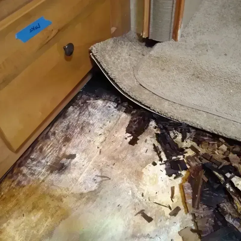 Best Wood Floor Water Damage Service in Longview, WA